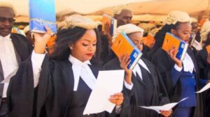 lawyers graduating from law school